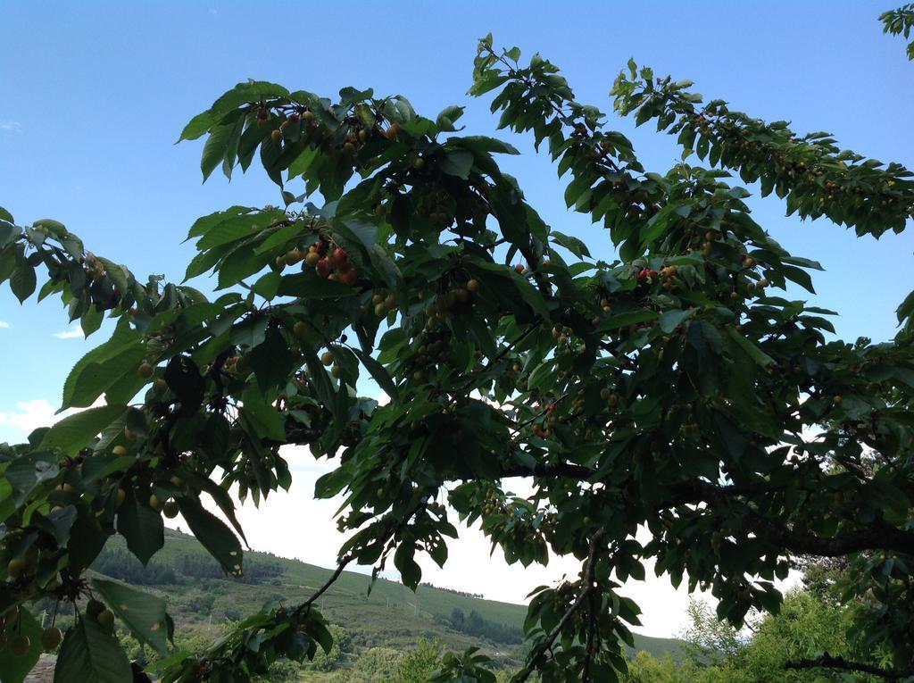 El Mirador De Los Trobos Villar de Otero Εξωτερικό φωτογραφία
