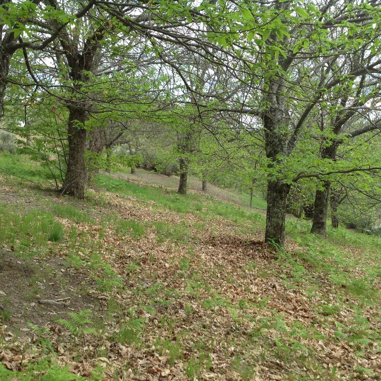 El Mirador De Los Trobos Villar de Otero Εξωτερικό φωτογραφία